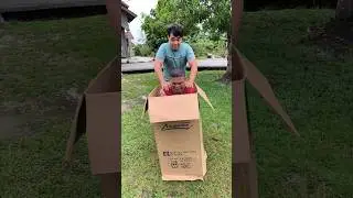 Box prank😲😲🤣🤣 #shorts#trending#funny#subscribe#4446