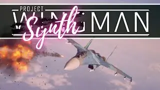 So it's Project Wingman SHOWDOWN but it's actually Project Synthman