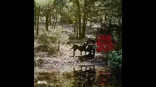 Zach Bryan - Drowning