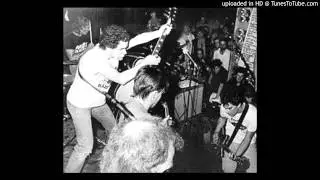 Haizman's Brain is Calling - Angry Samoans: Live at the 700 Club, NYC, 6/14/1981