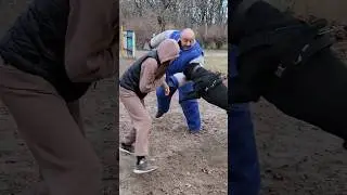 😲Cane Corso bodyguard. Bodyguard dog training. Owner protection. СТРАЖ Odessa Ukraine