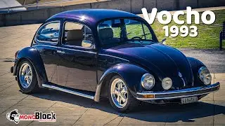 VW SED&Aacute;N 1993 - LA CANICA