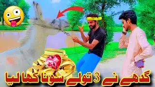 گدھا 3 تولے سونا کھا گیا 😛🤔😂 لالچ کا انجام New Funny Video 2023 #funny