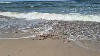 Ty się tym zajmij , zajmij się mną
