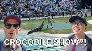 Crikey!! | A day at Australia Zoo, Queensland! | Crocodile show with the Irwins | Crocodile hunter