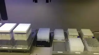 Sirius Automation Plate Handling