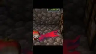 Minecraft cat 