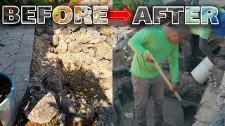 From Dried-Up to Dreamy: Part 1 of Our Pond Remodel Adventure!