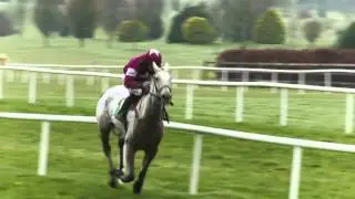 The Irish Road to Cheltenham  RT&Eacute; One