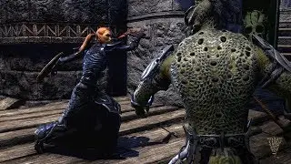 The Elder Scrolls Online: Morrowind &ndash; Naryu&rsquo;s Guide to the Battlegrounds