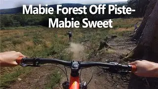 Mabie Forest MTB - Mabie Sweet (4K 25fps Run)