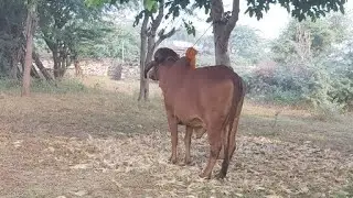 Kisan Help Center