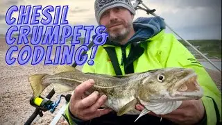 Chesil beach fishing, a spring Codling & tasty crumpet feature in this weeks visit to the shingle