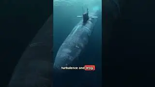 Nature's Design Inspires Submarine Stealth