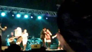 video fiesta de harmnn