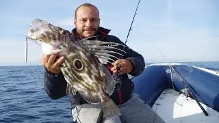 Super Fun with Light Jigging! Feat &Zeta;&Epsilon;&Nu;&Alpha;Q Fokeeto Whippy FB 60-1