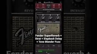 Fender SuperReverb + Strat + SlapBack Delay + Tone Blender Fuzz - AMPLITUBE TONES
