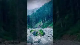 Gabin jaba SWAT 🇵🇰