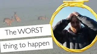 Я всё испортил (Mea Culpa!), Риджуэй и Зайцы в тумане