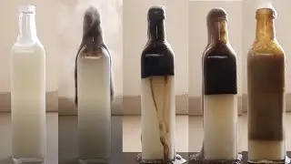 Amazing chemical reactions| Wonderful Reactions