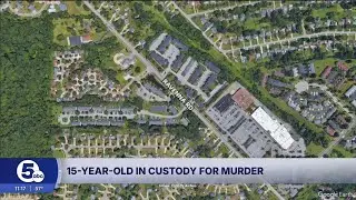 Twinsburg Police investigate fatal shooting in Summit County; 15-year-old arrested
