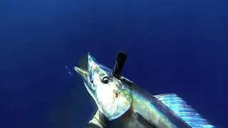Ukumulua Spearfishing Maui 