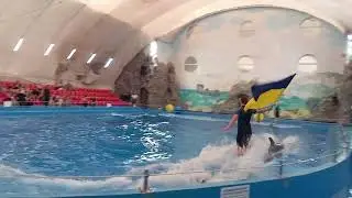 Харківський дельфінарій НЕМО