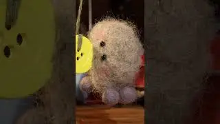 Fetch! Tweedy & Fluff Shorts #shorts #pets #cuteanimals #cartoonforkids #animals #preschool