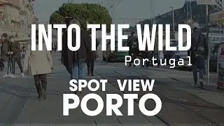 Ribeira e Ponte Dom Lu&iacute;s - SPOT VIEW II // Into the Wild Portugal