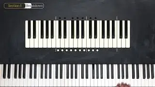 Piano Teacher Lessons   The White Keys   Piano Basics Ep  1