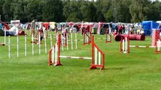 Agility 