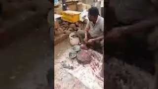 Fish Cleaning| Cheediga Fish Market |P johnsi is live