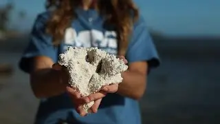 Restoring Maunalua Bay's Reefs in the Face of a Changing Climate