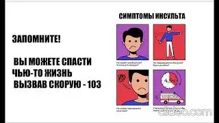 24 января 2024 г.