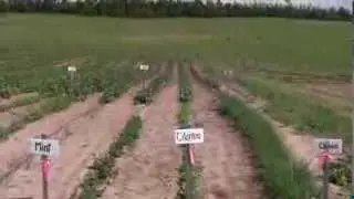 Red Deer County - Enterprising Ag Tour 2013