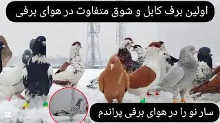 اولین برف کابل و شوق جالب و دیدنی در هوای برفی ، سفید سار نو در برف خوب گشت کرد ❤شوق شاهی❤