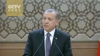 Turkish President Erdogan pushes for new constitution