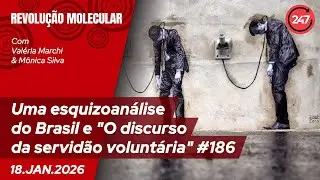 Revolução Molecular - Uma esquizoanálise do Brasil e  