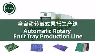 HGHY  Fruit Tray Machine Production Line