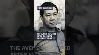 EXCLUSIVE: Puyat family files complaint vs ad agency suspected of doing &lsquo;Gil Tulog&rsquo; signs