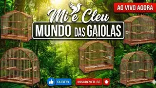 Mi e Cleu  está ao vivo!