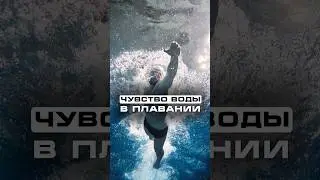 Чувство воды в плавании