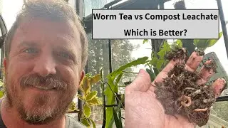 How to Make Worm Compost Tea, and Why it is Better Than Compost Leachate.