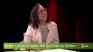 The News Project: In Studio - Legislative Update with Rep Linda Joy Sullivan