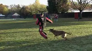 Pauko ring txapelketa. HA Mikel Lasa