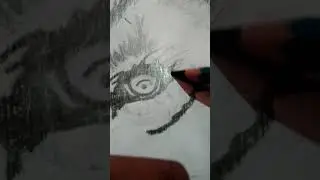 lion drawing 3d Shekhar drawing channel