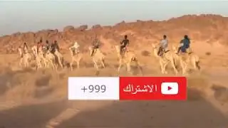 سباق المهاري تمنراست 14,5كم   الجزء الاول 2020