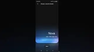 🚀 Set up your own Gemini Voice Personal AI in seconds!