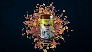 Tetra&reg; Brand | TetraMin - Global Leader in Fish Nutrition