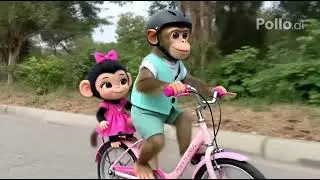 a monkey life with his girl friend on cycle